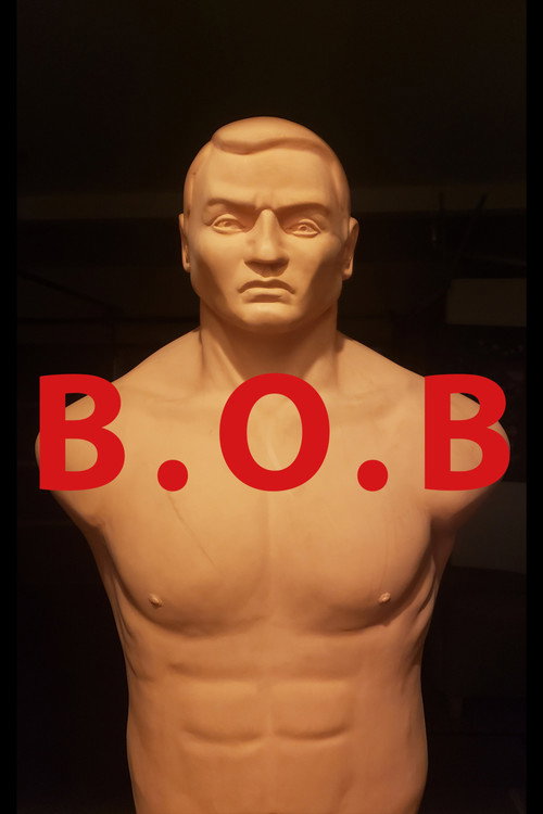 B. O. B. official trailer poster