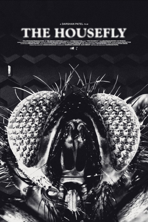 The Housefly official trailer poster