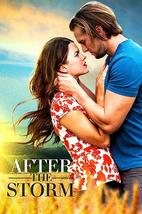 After the Storm official trailer poster