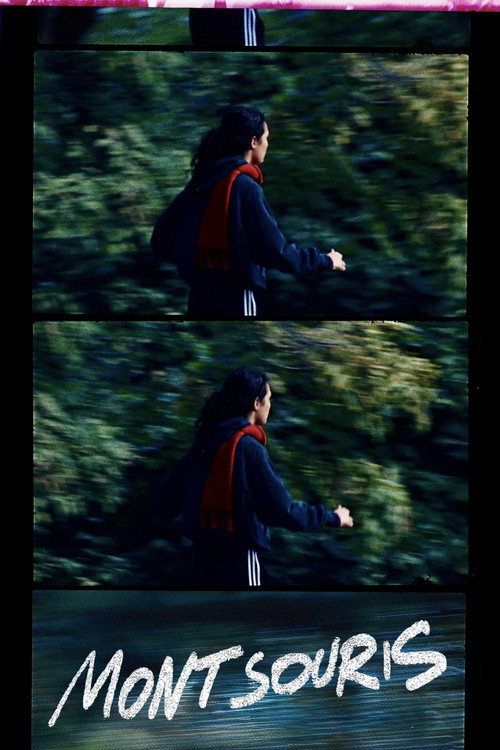 Montsouris Park official trailer poster
