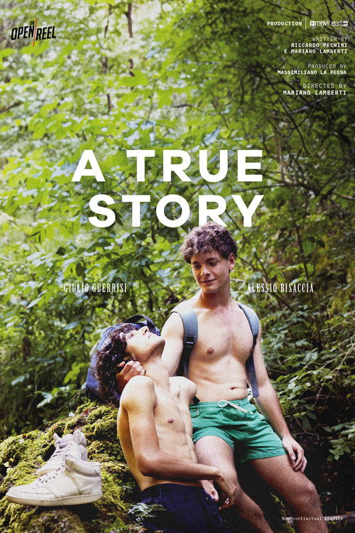 A True Story official trailer poster