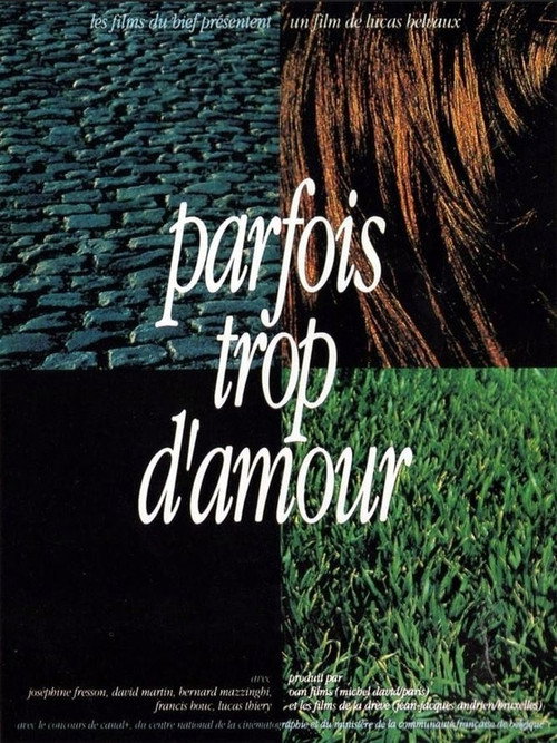 Parfois trop d'amour official trailer poster
