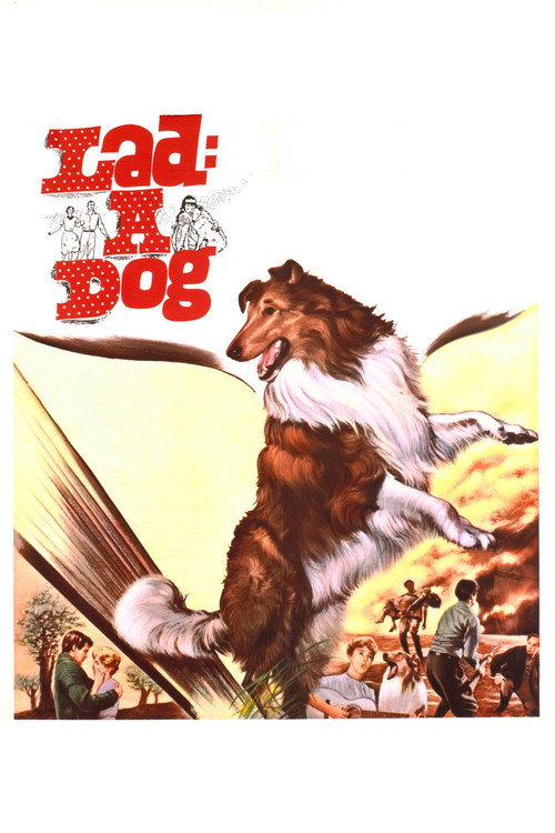 Lad: A Dog official trailer poster