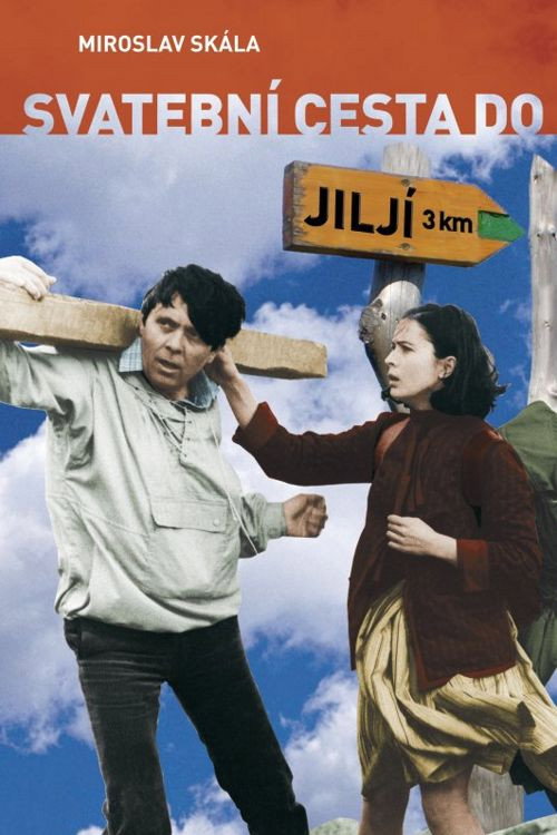 Bridal Tour to Jilji official trailer poster