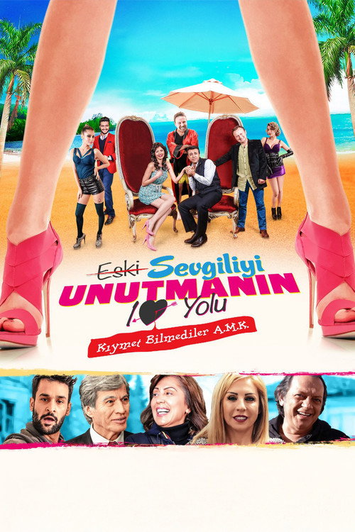 Eski Sevgiliyi Unutmanın 10 Yolu official trailer poster
