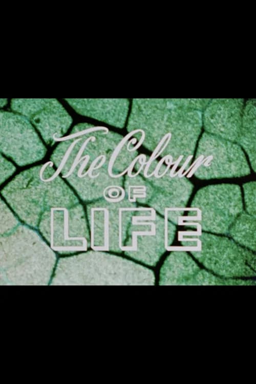 The Colour of Life official trailer poster