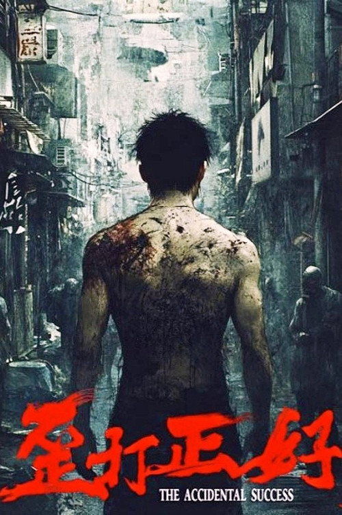 歪打正好 official trailer poster
