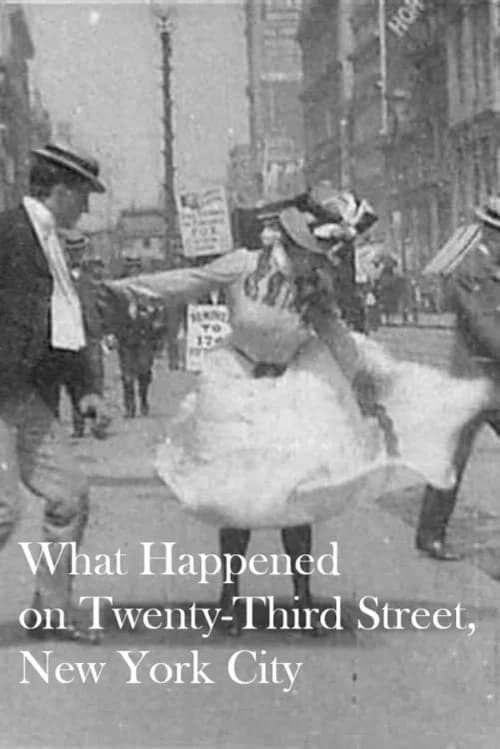 What Happened on Twenty-Third Street, New York City official trailer poster