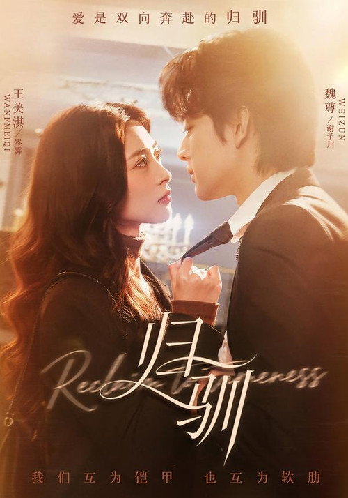 归驯 official trailer poster