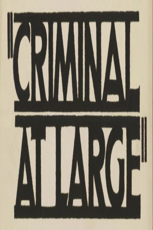 A Criminal at Large official trailer poster