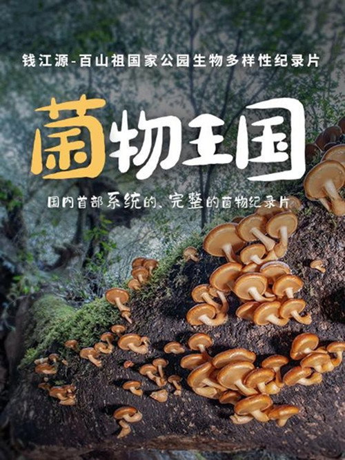 Fungi Kingdom official trailer poster