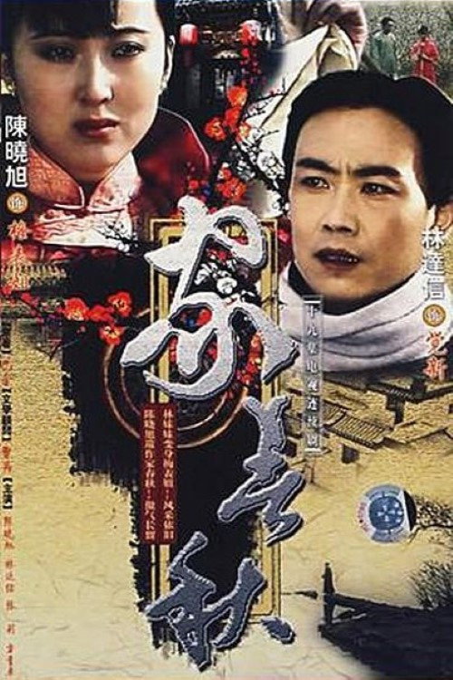 家春秋 official trailer poster