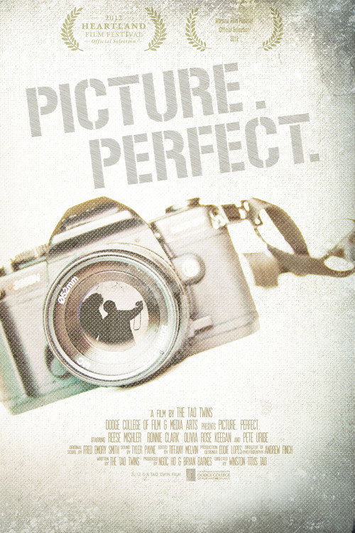 Picture. Perfect. official trailer poster