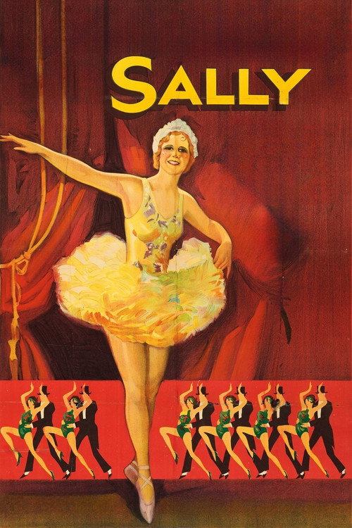 Sally official trailer poster