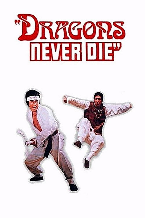 Kung Fu 10th Dan official trailer poster
