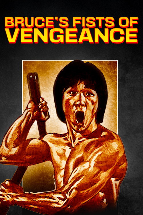 Bruce's Fists Of Vengeance official trailer poster