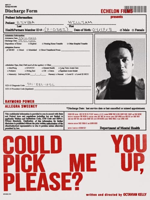Could You Pick Me Up, Please? official trailer poster