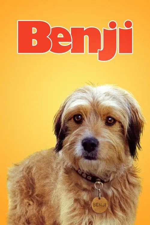 Benji official trailer poster