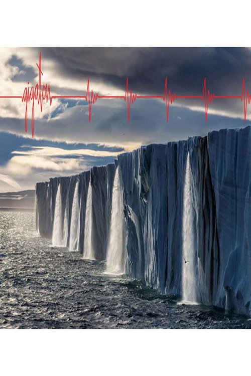 Pearl Jam: Gigaton Visual Album Experience official trailer poster