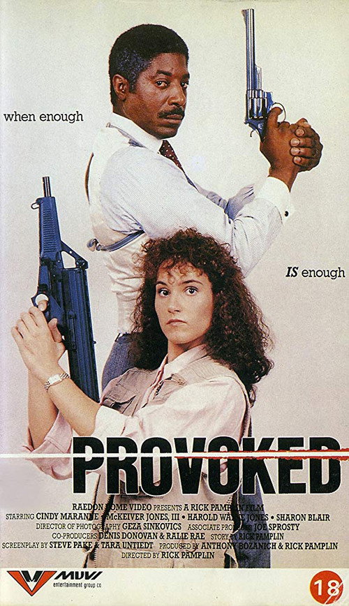 Provoked official trailer poster