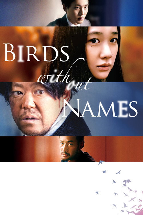 Birds Without Names official trailer poster