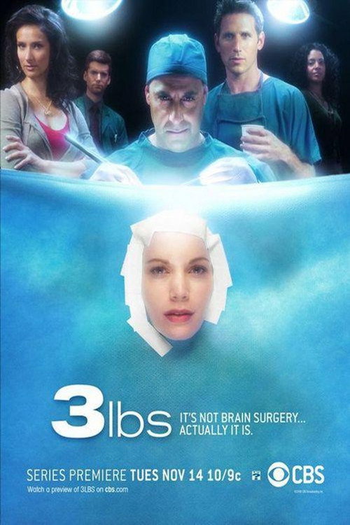 3 lbs official trailer poster