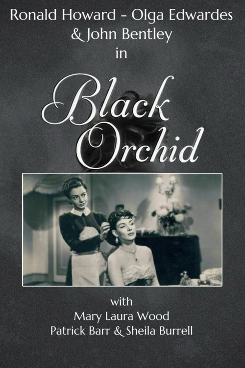 Black Orchid official trailer poster
