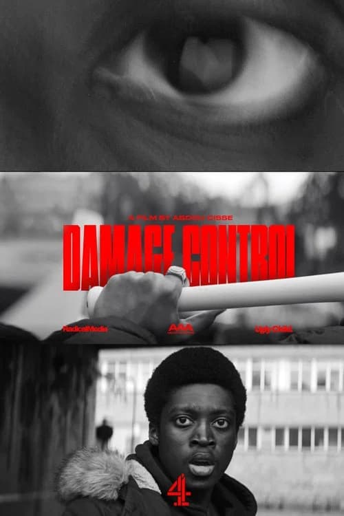 Damage Control (Enough) official trailer poster