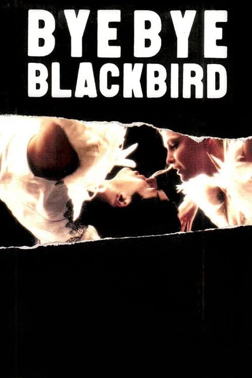 Bye Bye Blackbird official trailer poster