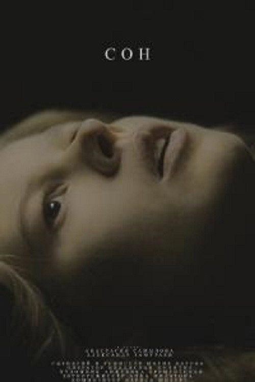 The Dream Is Gone official trailer poster