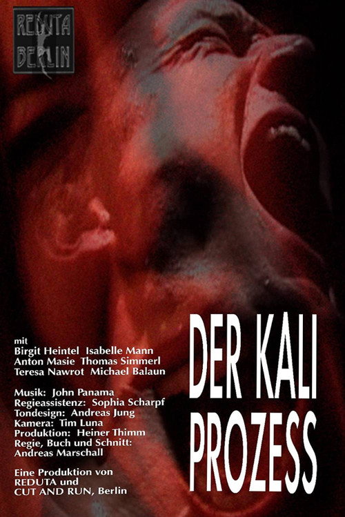 Der Kali Prozess official trailer poster