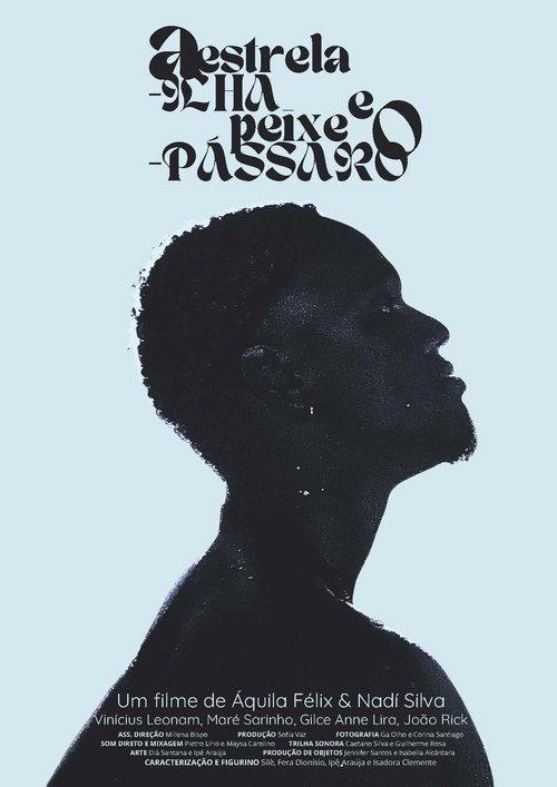 A Estrela-ilha e o Peixe-pássaro official trailer poster