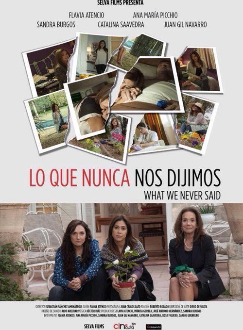 What We Never Said official trailer poster