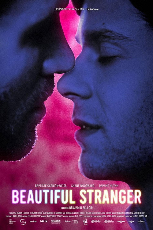 Beautiful Stranger official trailer poster