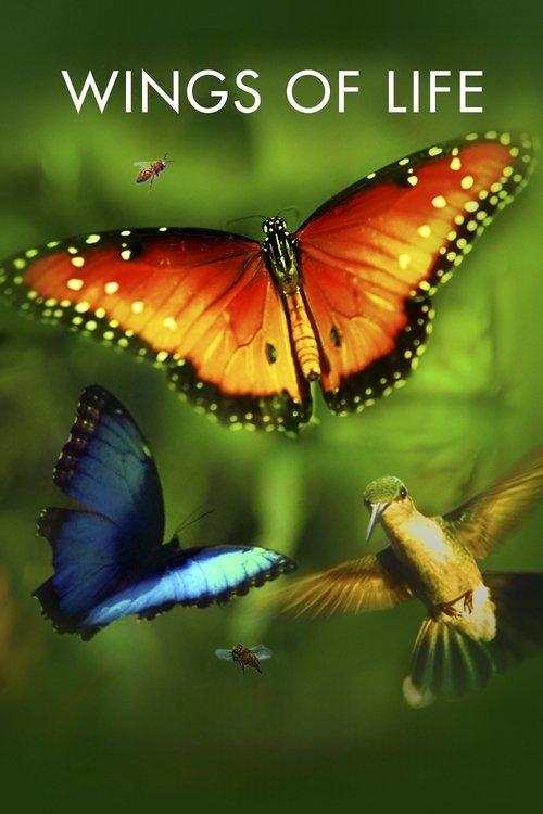 Wings of Life official trailer poster