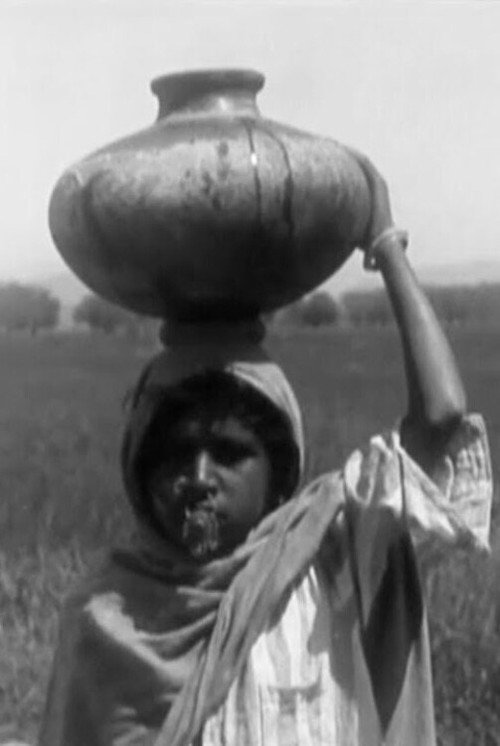 A Punjab Village official trailer poster