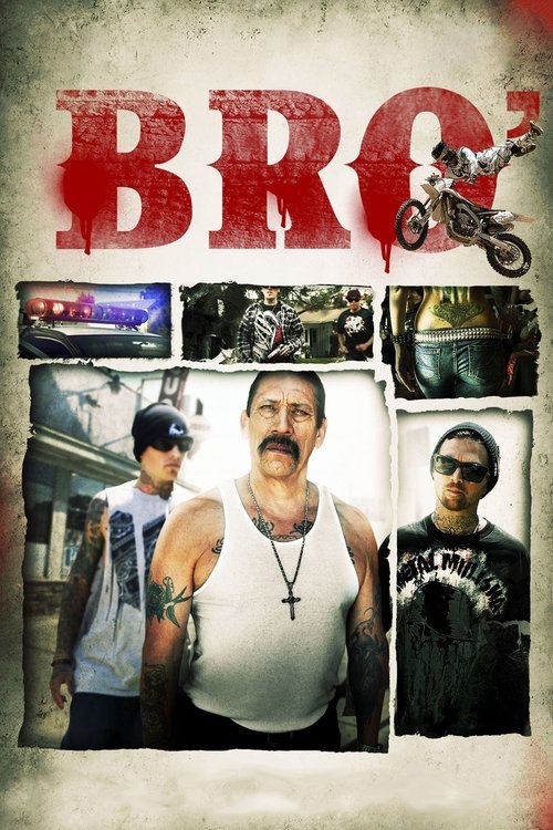 Bro' official trailer poster