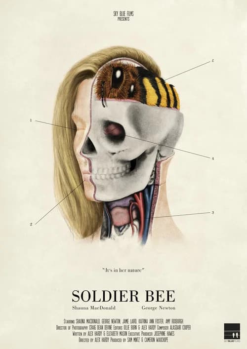 Soldier Bee official trailer poster