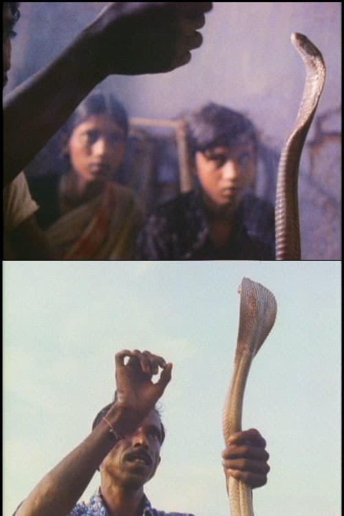 Serpent Mother official trailer poster