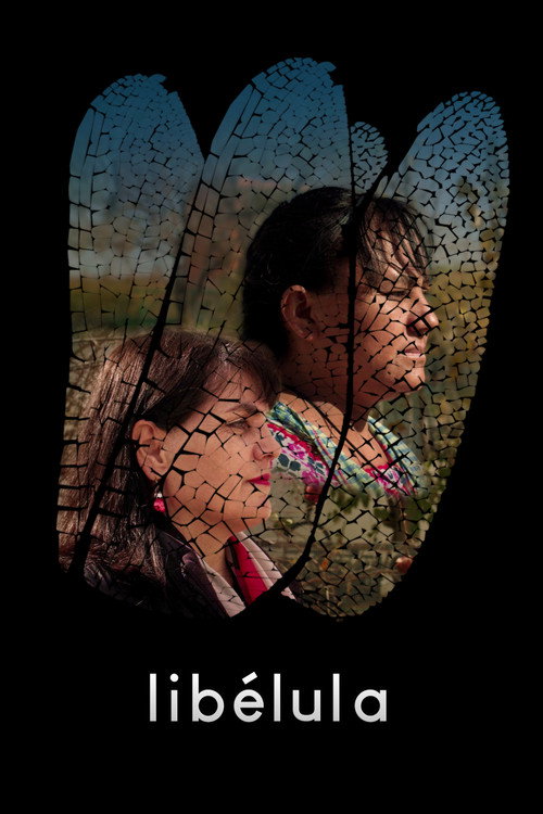 Dragonfly official trailer poster