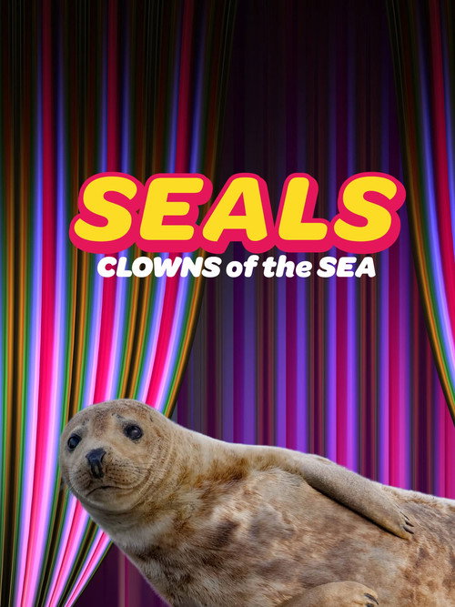 Seals - Clowns of the Sea official trailer poster