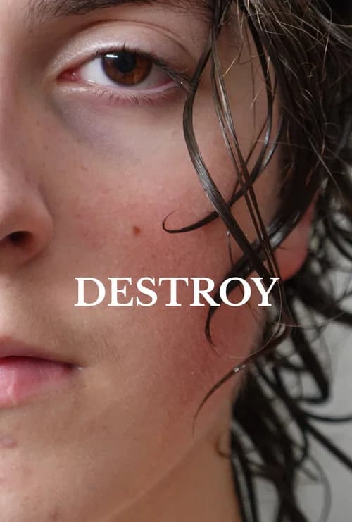 Destroy official trailer poster