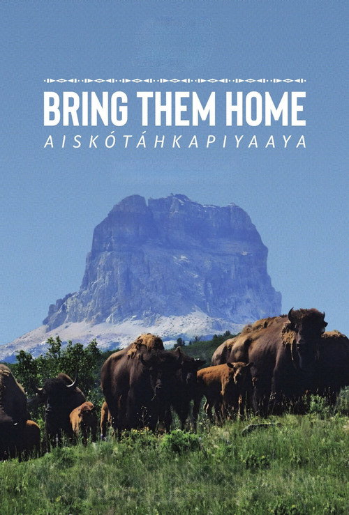 Bring Them Home official trailer poster