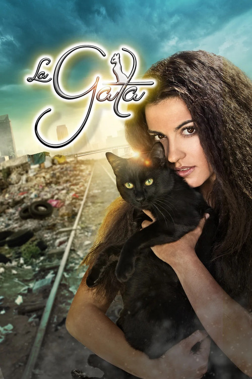 The Stray Cat official trailer poster