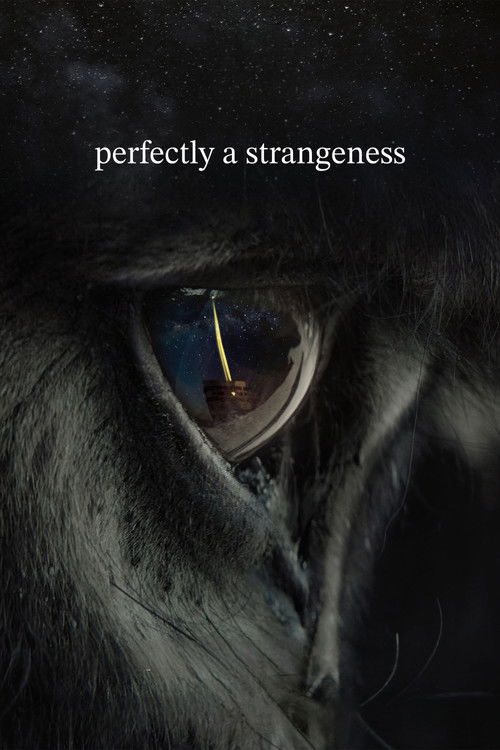 perfectly a strangeness official trailer poster