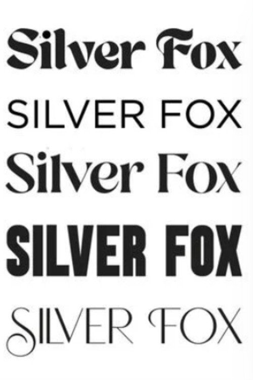 Silver Fox official trailer poster