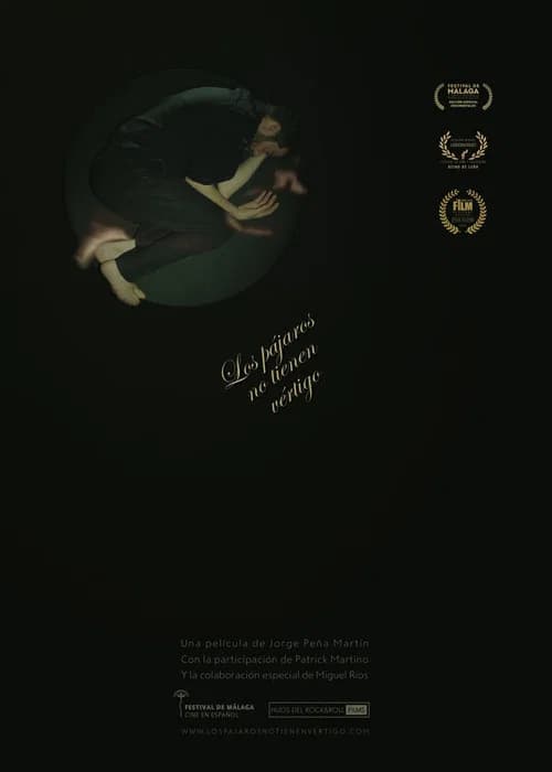 Los pájaros no tienen vértigo official trailer poster