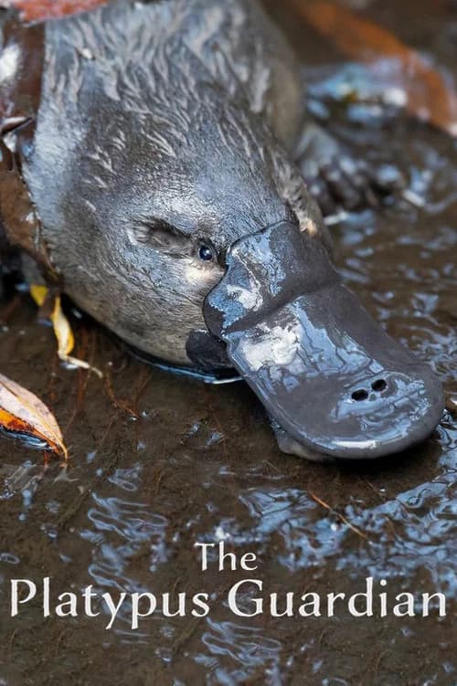 The Platypus Guardian official trailer poster