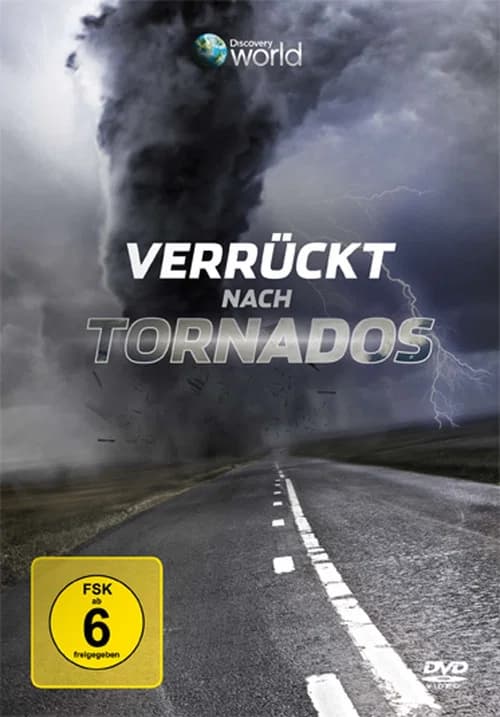 Verrückt nach Tornados official trailer poster