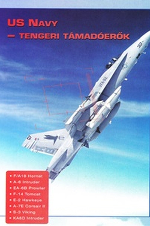 Combat in the Air - US Navy Carrier Strike Force official trailer poster